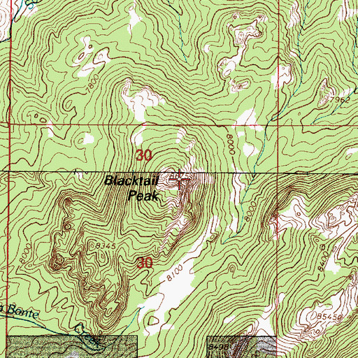 Topographic Map of Blacktail Peak, WY