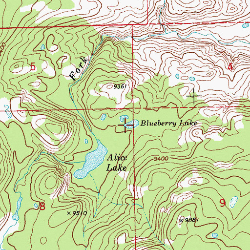 Topographic Map of Blueberry Lake, WY