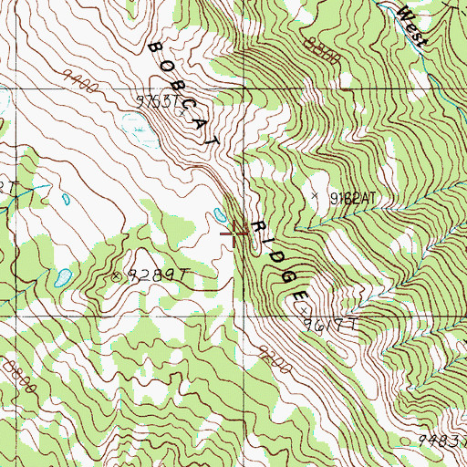 Topographic Map of Bobcat Ridge, WY