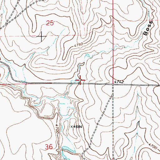 Topographic Map of Boss Draw, WY