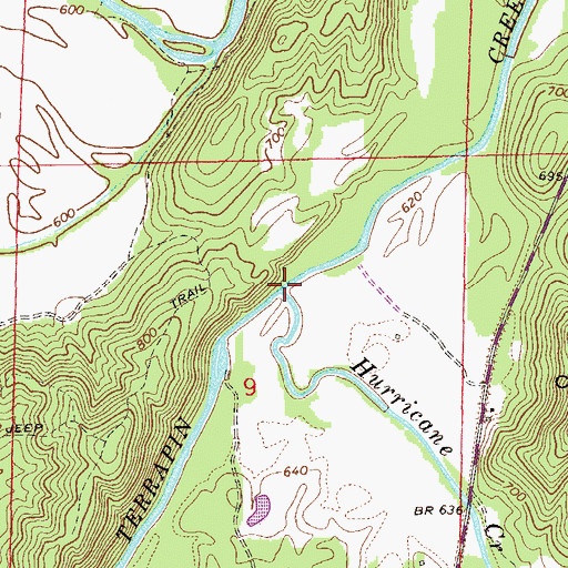 Topographic Map of Hurricane Creek, AL