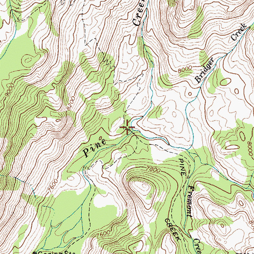 Topographic Map of Bridger Creek, WY