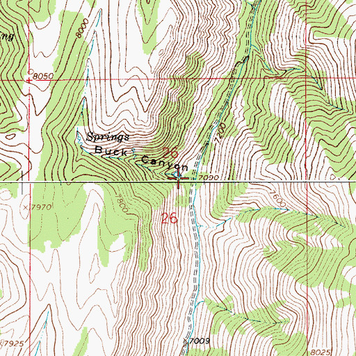 Topographic Map of Buck Canyon, WY