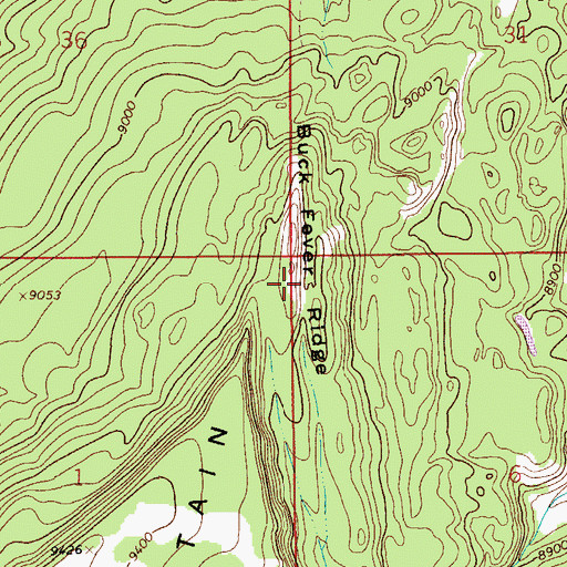 Topographic Map of Buck Fever Ridge, WY
