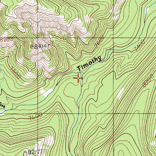 Topographic Map of Buffalo Fork, WY