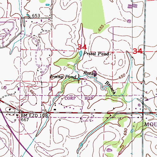 Topographic Map of Irving Pond, AL