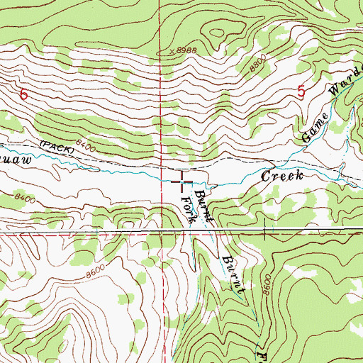 Topographic Map of Burnt Fork, WY