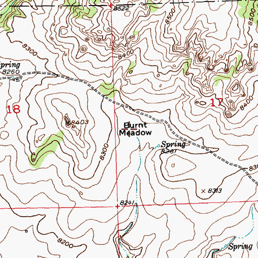 Topographic Map of Burnt Meadow, WY