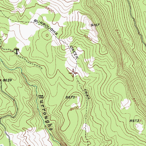 Topographic Map of Burroughs Creek Trail, WY