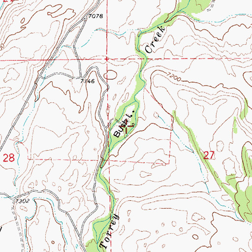 Topographic Map of Bush Island, WY