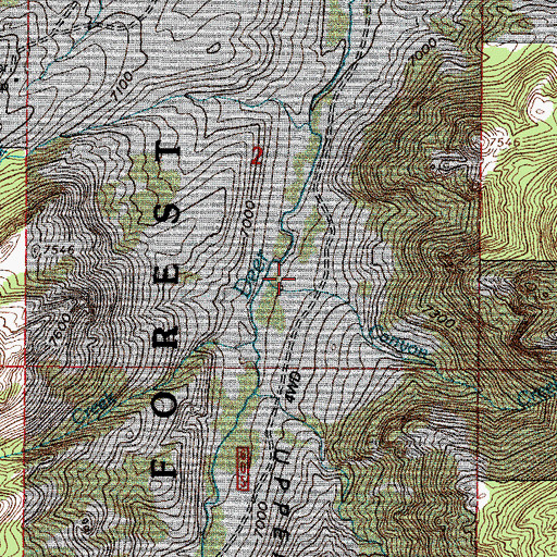 Topographic Map of Canyon Creek, WY