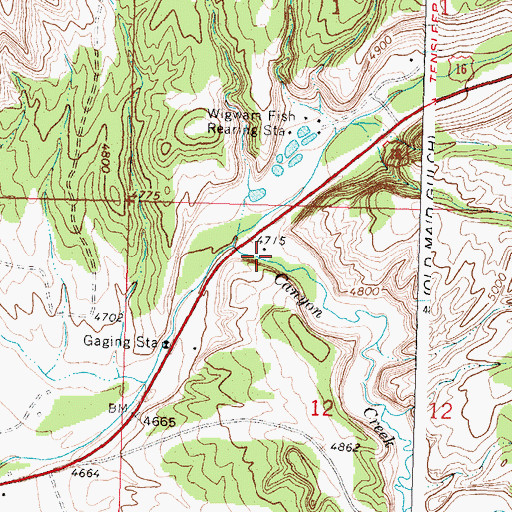 Topographic Map of Canyon Creek, WY