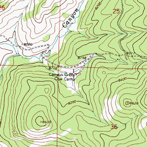 Topographic Map of Canyon Creek Cow Camp, WY