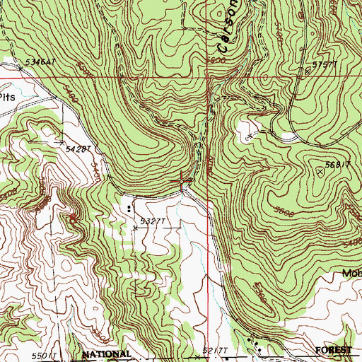 Topographic Map of Carson Draw, WY