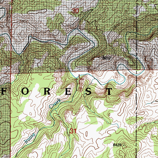 Topographic Map of Claude Irvine Creek, WY