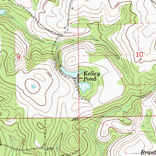 Topographic Map of Kelley Pond, AL