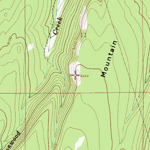 Topographic Map of Cottonwood Mountain, WY