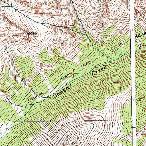 Topographic Map of Cougar Pass Trail, WY