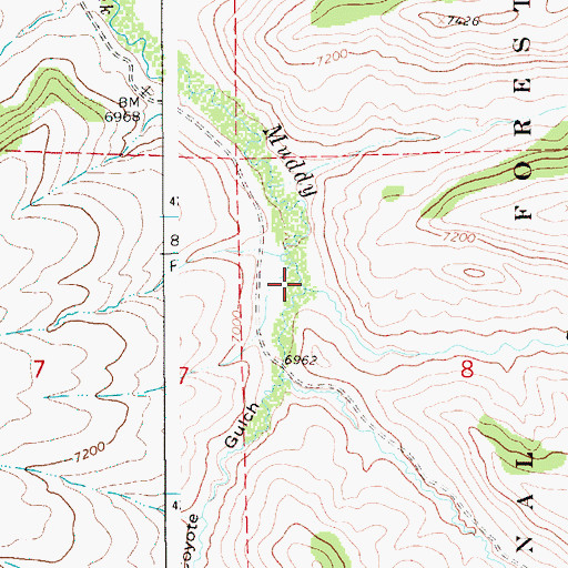 Topographic Map of Coyote Gulch, WY