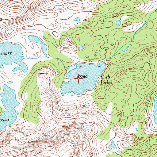 Topographic Map of Cub Lake, WY