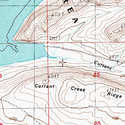 Topographic Map of Currant Creek, WY