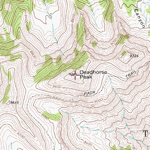 Topographic Map of Deadhorse Peak, WY