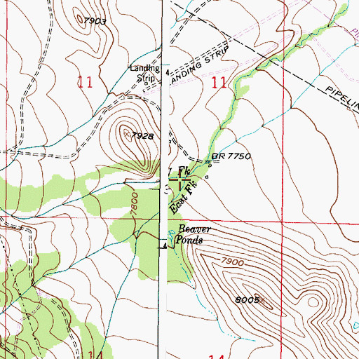 Topographic Map of East Fork Dutton Creek, WY