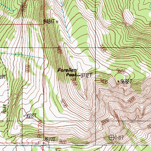 Topographic Map of Forellen Peak, WY