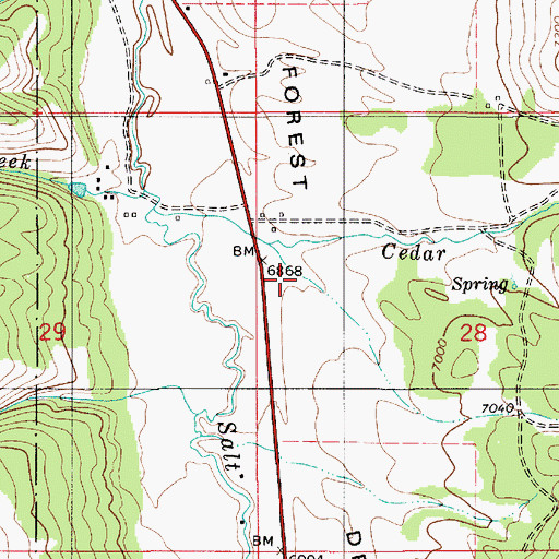 Topographic Map of Forest Dell, WY