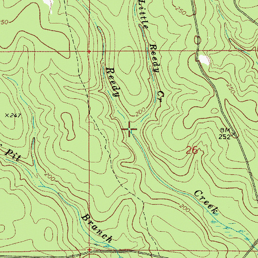 Topographic Map of Little Reedy Creek, AL