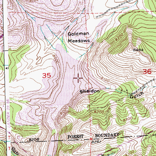 Topographic Map of Goldman Meadows, WY