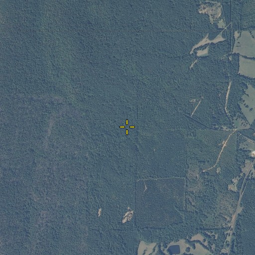 Aerial/Satellite Image of Long Branch, AL