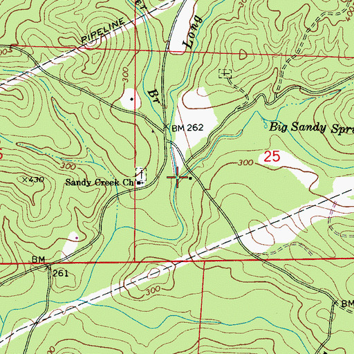 Topographic Map of Long Branch, AL