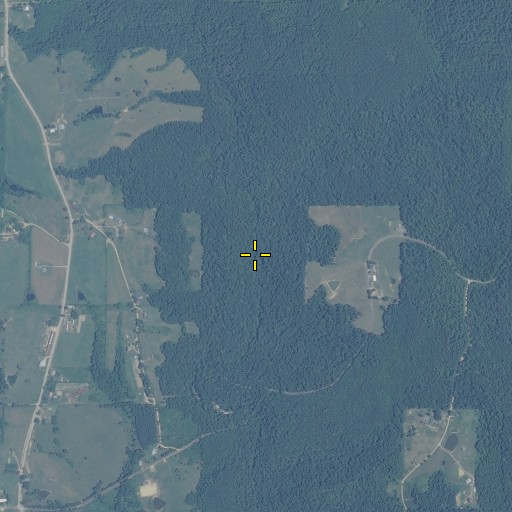Aerial/Satellite Image of Long Branch, AL