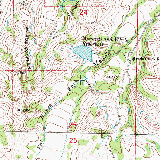 Topographic Map of Hanes Fork, WY