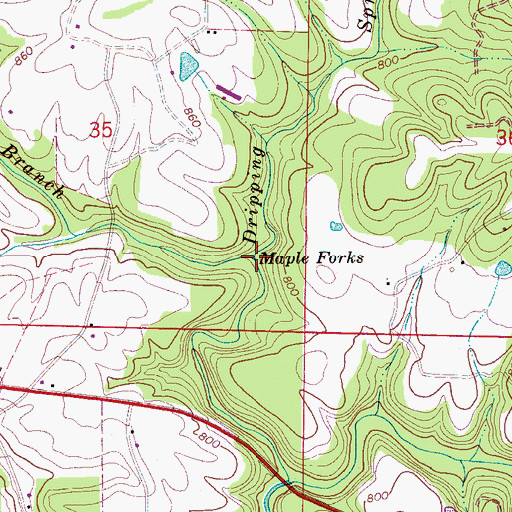 Topographic Map of Maple Forks, AL