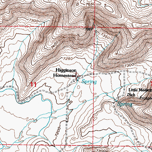 Topographic Map of Higginson Homestead, WY