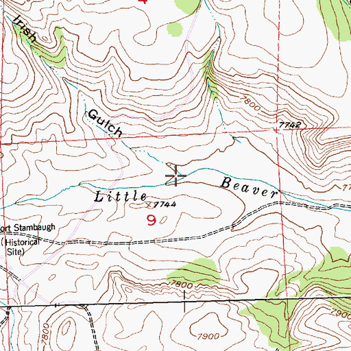 Topographic Map of Irish Gulch, WY