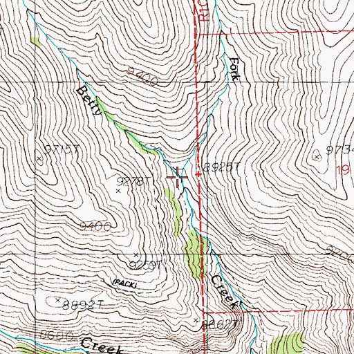 Topographic Map of Left Fork Betty Creek, WY