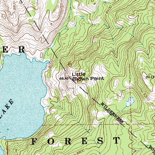 Topographic Map of Little Brown Point, WY