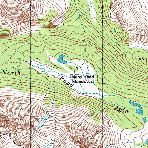 Topographic Map of Lizard Head Meadows, WY