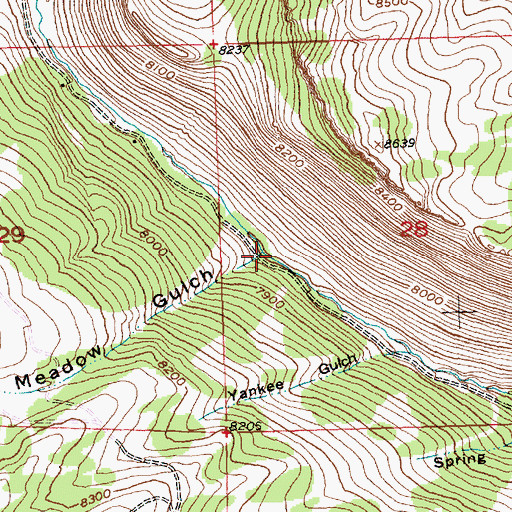Topographic Map of Meadow Gulch, WY