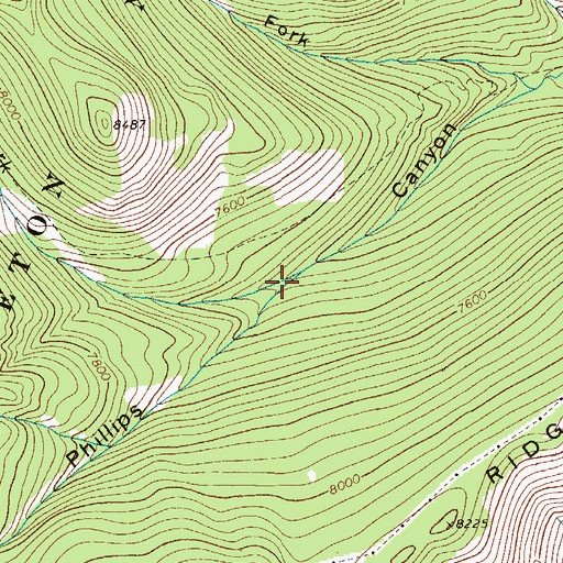 Topographic Map of Middle Fork Phillips Canyon, WY