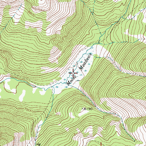 Topographic Map of Moose Meadows, WY
