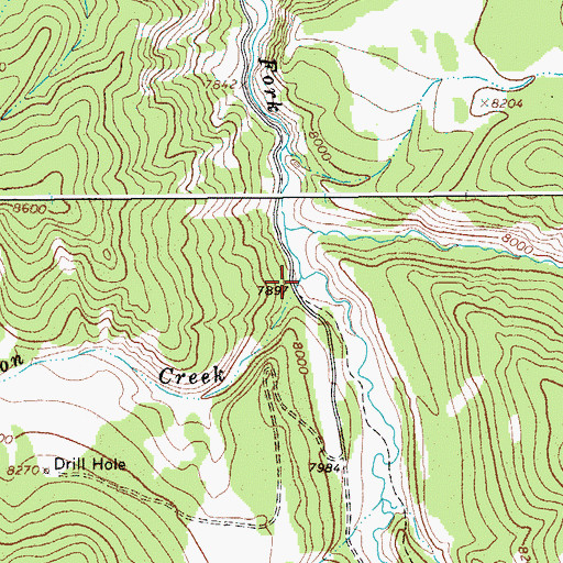 Topographic Map of Nation Creek, WY