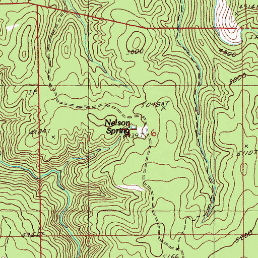 Topographic Map of Nelson Spring, WY