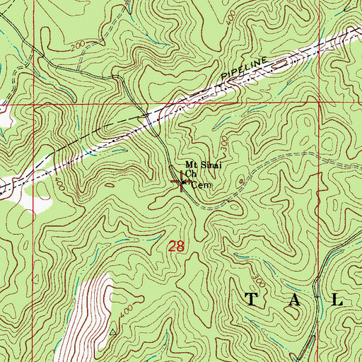 Topographic Map of Mount Sinai Church, AL