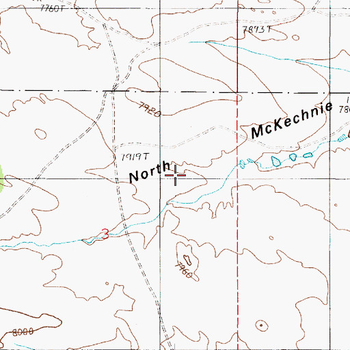 Topographic Map of North McKechnie Meadow, WY