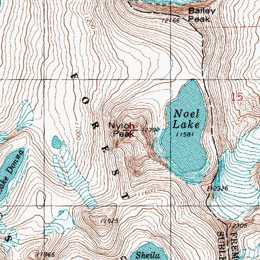 Topographic Map of Nylon Peak, WY