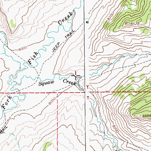 Topographic Map of Papoose Creek, WY